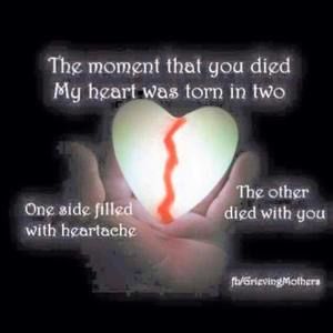 Meet your Posher, Misty